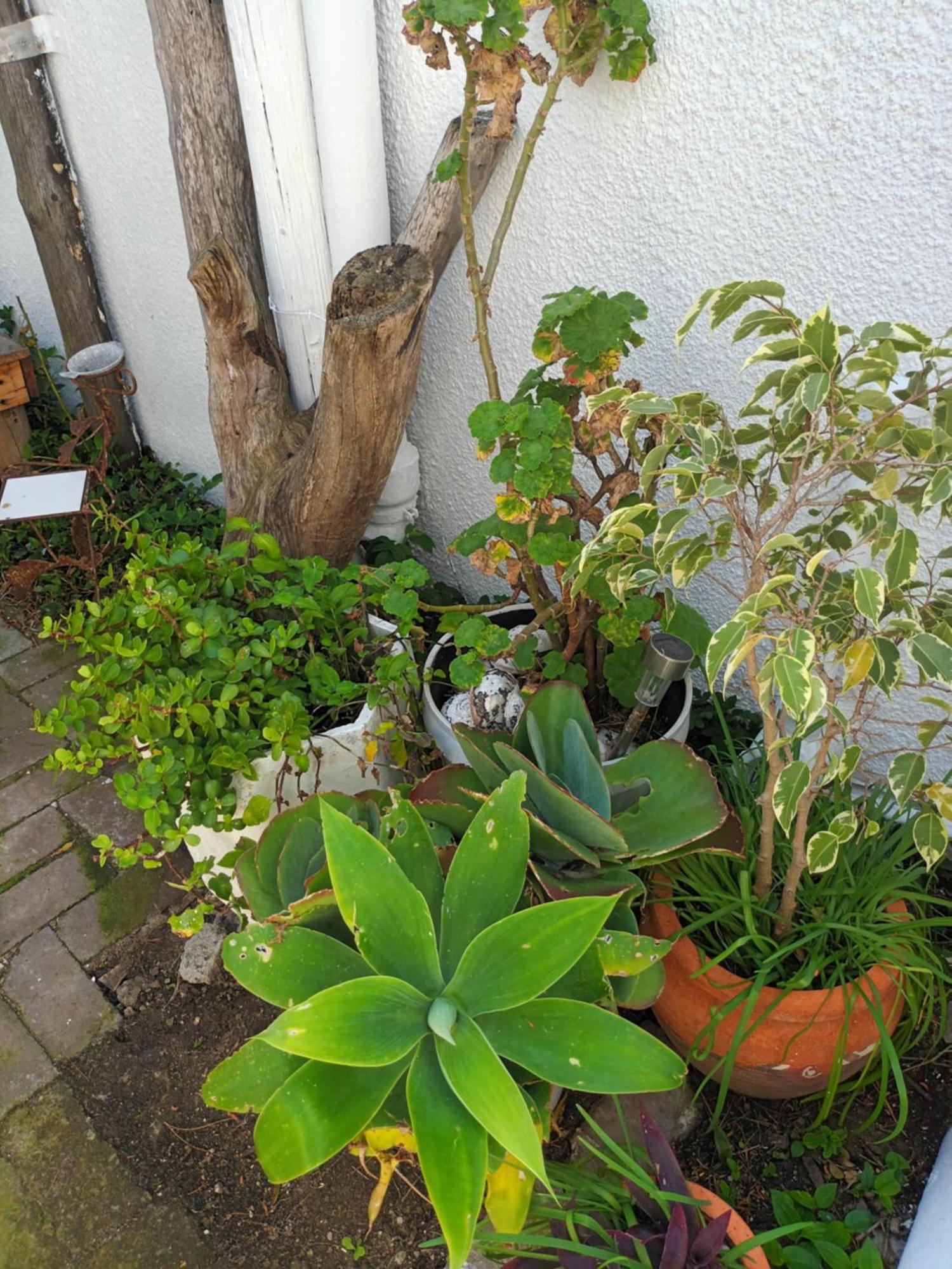 Self Catering Unit 7, Sandbaai Hermanus Quarto foto